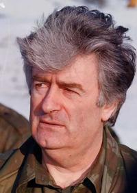 ‘Karadzic regretted that some Bosnian Muslims escaped genocide’