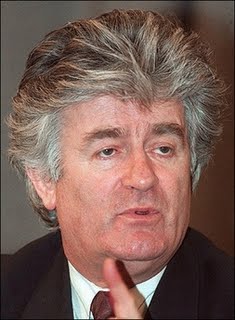 Karadzic's boycott of trial an insult, war victims say 