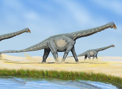 Rare-dinosaur-fossil