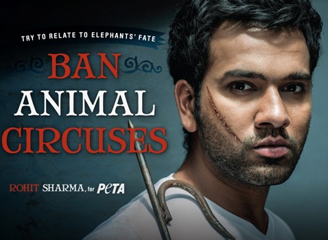 Rohit-Sharma-PETA-ad