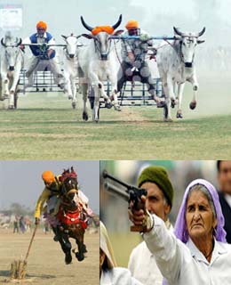 Rural Olympics, a big draw for Punjabi sport lovers