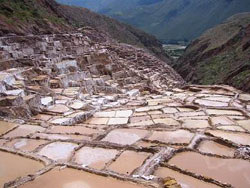 Will salt pans make way for buildings? way 