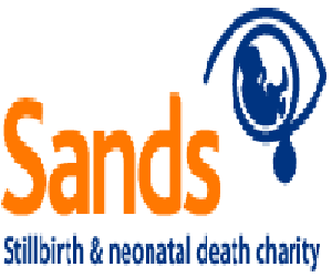 Charity urges action over high number of stillbirths
