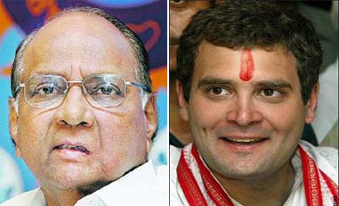 Pawar, Rahul sweet talk