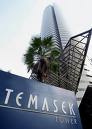 Singapore's Temasek sells power company to Japanese consortium 