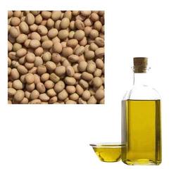 Soya Oil