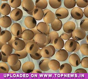 Commodity Trading Tips for Soyabean by KediaCommodity
