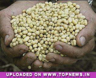 Commodity Trading Tips for Soyabean by KediaCommodity