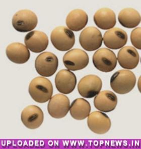 Weekly Commodity Update by KediaCommodity