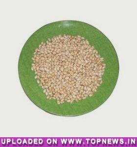 Soyabean