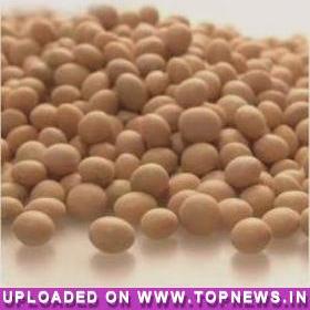 Commodity Trading Tips for Soyabean by KediaCommodity