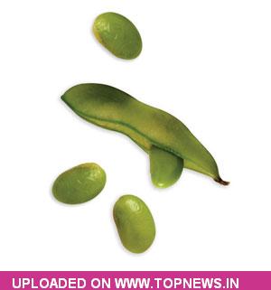 Soyabean