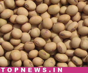 Commodity Outlook for Soyabean by KediaCommodity