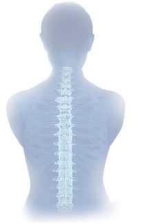 New approach to prevent spinal cord damage