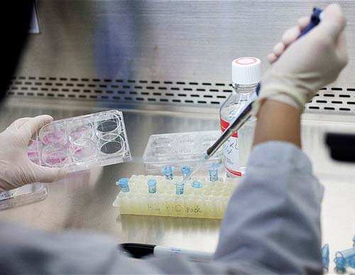 Stem-Cell-Gene-Therapy