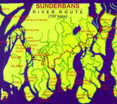 Sunderbans trailing at the hustings
