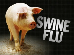 One swine flu death in Chandigarh, seven new cases