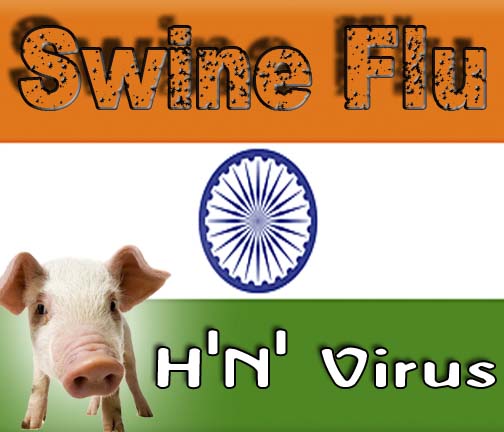 Swine flu cases rise in Orissa 