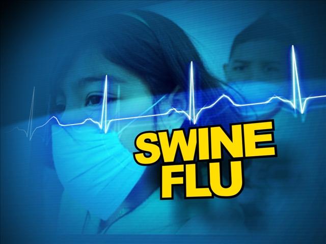 WHO reports 337 swine-flu deaths worldwide