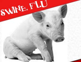 Swine flu takes four more lives in Pune