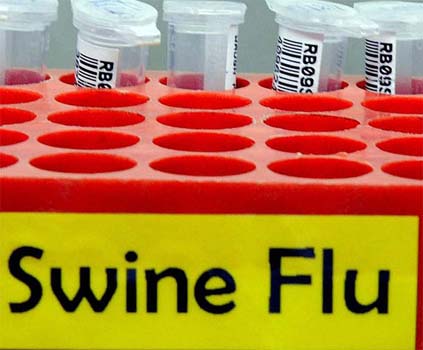 Two more swine flu cases in Chandigarh