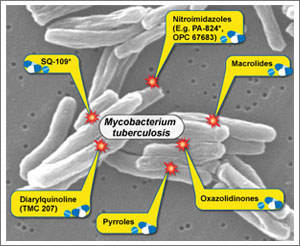 Mechanism behind carbohydrate synthesis may pave way for new TB drugs