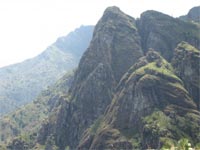 A tour of Tanzania's Usambara Mountains, home of the African violet