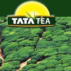 Tata Tea Short Term Buy Call