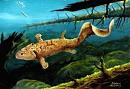 Tetrapods Were Not The First Animals To Have Fingers; Says A Study 