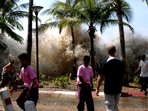 Irulas say tsunami changed their destiny - for better
