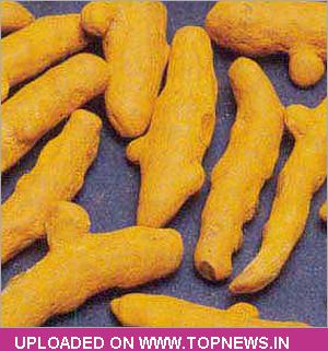 Commodity Trading Tips for Turmeric by KediaCommodity