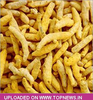 Commodity Trading Tips for Turmeric by KediaCommodity