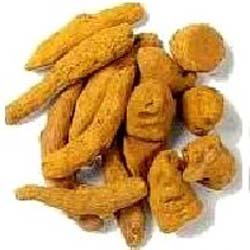 Turmeric