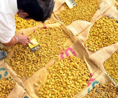 Commodity Trading Tips for Turmeric by KediaCommodity