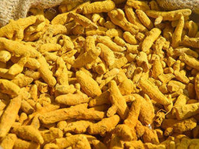 Commodity Trading Tips for Turmeric by KediaCommodity