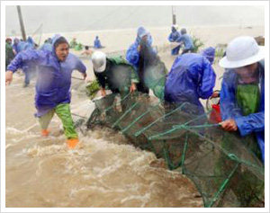 Typhoon kills one, damages property, crops in China