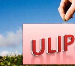 ULIP scam was worth Rs 1.56 lakh crore, claims report