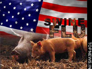 New York officials downplay threat of swine flu