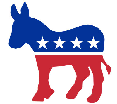 US Democrats start consultations on delegate dispute