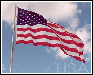 New recommendations for drivers with Implanted cardioverter defibrillators