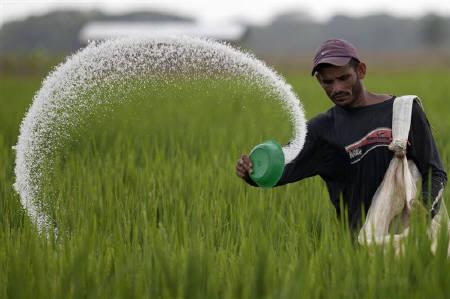 Government delays plans to increase urea prices