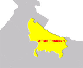 Eight of family killed in road mishap