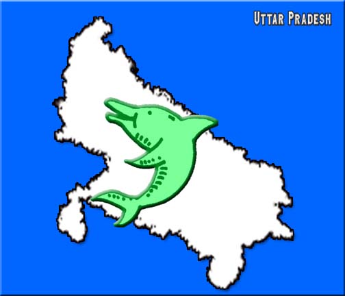 Nitish Kumar 