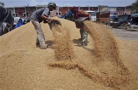 Govt. hikes wheat MSP by Rs 65 to Rs 1,350 per quintal