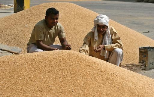 Commodity Trading Tips for Wheat by KediaCommodity