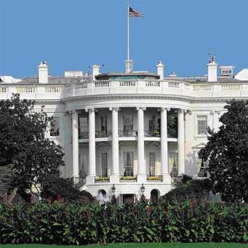 More analysis needed in oil well cap, feels White House