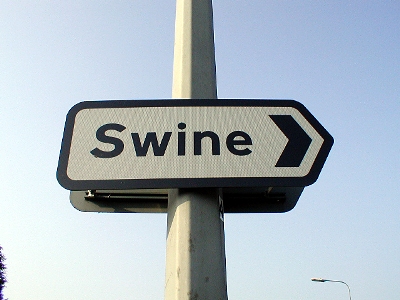 Yemen identifies four more confirmed swine flu cases