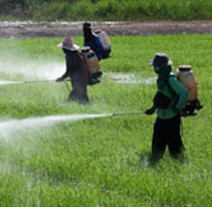 Indian agrochemical industry to reach USD7.5 bn by FY19: Report