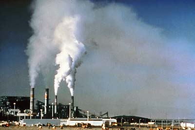 High prenatal exposure to air pollution can lead to lower IQ in 