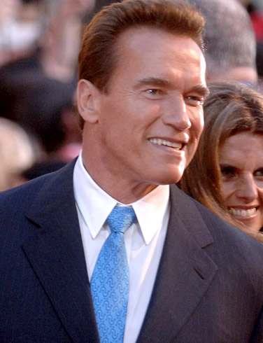 Arnold Schwarzenegger for US president? Former action hero eyes top job  